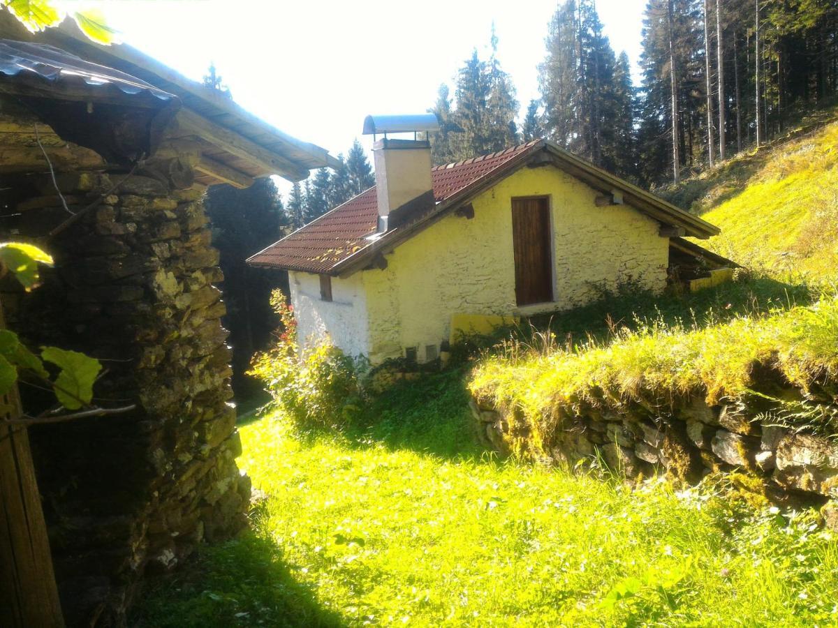 Casa Lausen Appartement Canal San Bovo Buitenkant foto